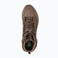 Men's trekking boots Jack Wolfskin Terraquest Texapore Mid bear 12