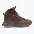 Men's trekking boots Jack Wolfskin Terraquest Texapore Mid bear 2