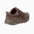 Men's trekking shoes Jack Wolfskin Terraquest Texapore Low gecko bear 2
