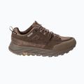 Men's trekking shoes Jack Wolfskin Terraquest Texapore Low gecko bear 3