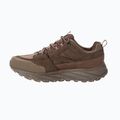 Men's trekking shoes Jack Wolfskin Terraquest Texapore Low gecko bear 4