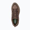 Men's trekking shoes Jack Wolfskin Terraquest Texapore Low gecko bear 5