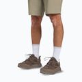 Men's trekking shoes Jack Wolfskin Terraquest Texapore Low gecko bear 7