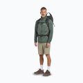 Men's trekking shoes Jack Wolfskin Terraquest Texapore Low gecko bear 8