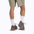 Men's trekking shoes Jack Wolfskin Terraquest Texapore Low gecko bear 9