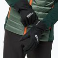 Jack Wolfskin Winter Basic Gloves black 3