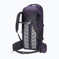 Jack Wolfskin Cyrox Shape 30 l hiking backpack S-L dark grape 2