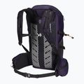 Jack Wolfskin Cyrox Shape 25 l S-L evening sky hiking backpack 2
