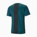 Men's training shirt PUMA Train All Day green 522337 24 2