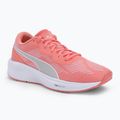PUMA Aviator Profoam Sky 12 running shoes pink 376615 12