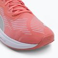 PUMA Aviator Profoam Sky 12 running shoes pink 376615 12 7