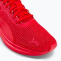 Men's running shoes PUMA Transport Modern red 377030 05 8