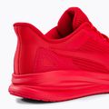 Men's running shoes PUMA Transport Modern red 377030 05 9