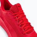 Men's running shoes PUMA Transport Modern red 377030 05 10