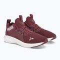 Women's running shoes PUMA Softride Enzo Nxt maroon 195235 17 4
