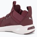 Women's running shoes PUMA Softride Enzo Nxt maroon 195235 17 10