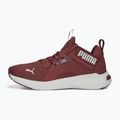 Women's running shoes PUMA Softride Enzo Nxt maroon 195235 17 11