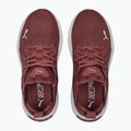 Women's running shoes PUMA Softride Enzo Nxt maroon 195235 17 14
