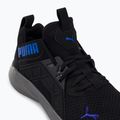 Men's running shoes PUMA Softride Enzo Nxt black 195234 16 10