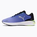 Men's running shoes PUMA Electrify Nitro 2 purple 376814 08 7