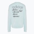 Women's adidas Graphic sweatshirt almost blue 2