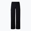 Men's ski trousers BOGNER FIRE+ICE Nic-T black