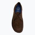 Shoes BIRKENSTOCK Utti Lace Suede Leather carafe 5
