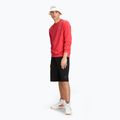 Men's FILA Brustem Crew Sweatshirt cayenne 2