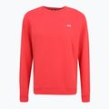 Men's FILA Brustem Crew Sweatshirt cayenne 5