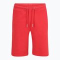 Men's FILA Blehen Sweat shorts cayenne 5