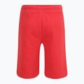 Men's FILA Blehen Sweat shorts cayenne 6