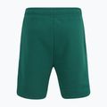 Men's FILA Lazsko Sweat aventurine shorts 6
