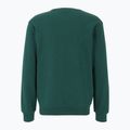 Men's FILA Ligonier Crew Sweat sweatshirt forest biome 2