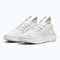 Women's running shoes PUMA Softride Symmetry Fuzion Feather gray/mauve mist/rose gold