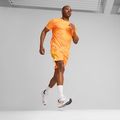Men's running shoes PUMA Velocity Nitro 3 puma white/sun stream 14