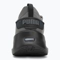 PUMA Softride Symmetry Fuzion puma black/cool dark gray/puma team royal running shoes 6