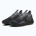 PUMA Softride Symmetry Fuzion puma black/cool dark gray/puma team royal running shoes