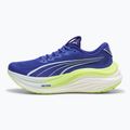 PUMA MagMax Nitro men's running shoes lapis lazuli/nitro blue 9