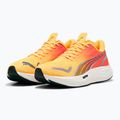 Men's running shoes PUMA Velocity Nitro 3 Fade sun stream/sunset glow/white 8