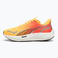 Men's running shoes PUMA Velocity Nitro 3 Fade sun stream/sunset glow/white 10