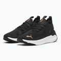 Women's running shoes PUMA Softride Symmetry Fuzion puma black/puma gold