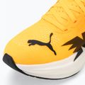 Men's running shoes PUMA Deviate Nitro 3 Fade sun stream/sunset glow/puma white 7