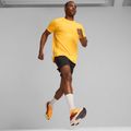 Men's running shoes PUMA Deviate Nitro 3 Fade sun stream/sunset glow/puma white 14
