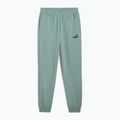 Men's sweatpants PUMA ESS No. 1 Logo Sweatpants TR CL green moon