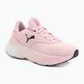 Women's running shoes PUMA Softride Mayve rose mauve/puma black/sun struck