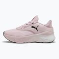 Women's running shoes PUMA Softride Mayve rose mauve/puma black/sun struck