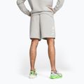 Men's training shorts PUMA x HYROX gray 2