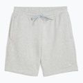 Men's training shorts PUMA x HYROX gray 3