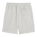 Men's training shorts PUMA x HYROX gray 4