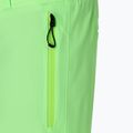 Men's ski trousers BOGNER FIRE+ICE Nic-T vibrant lime 3